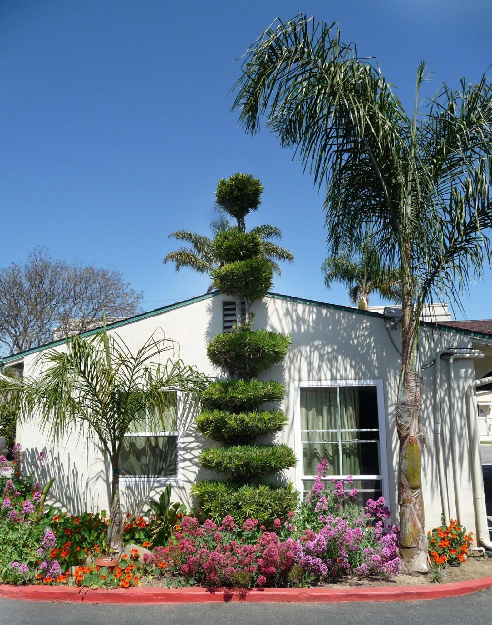 ונטורה Mission Bell Motel מראה חיצוני תמונה